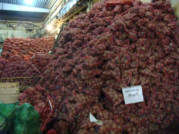 Продается картофель оптом 5+ 6+, фермерское хоз-во напрямую в Магадане фото 4