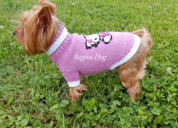 Свитера для собак ручной работы в Москве фото 53