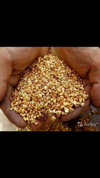 Ищу партнёров в готовый бизнес