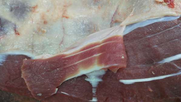 Мясо и субпродукты для собак (индейка аллергикам) в Балашихе фото 3
