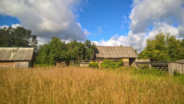 Добротный дом с баней и хоз-вом на хуторе под Печорами в Пскове фото 9