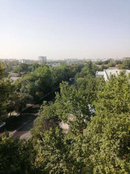 Сдается своя 3/9/9 квартира на Ц-1. Центр Ташкента в 