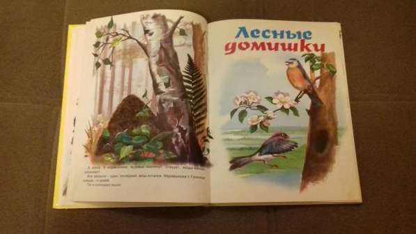 Сказки Бианки в Екатеринбурге фото 8