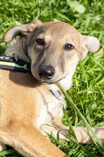 Сироте Марселю нужен дом в Москве фото 4