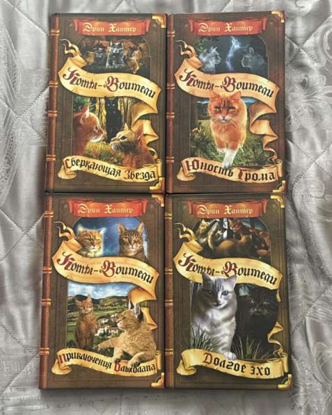 Коты-Воители