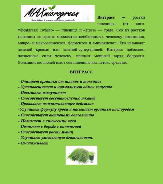 Витграсс в Подольске фото 3