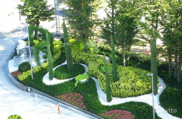 Ландшафтный дизайн с озеленением полный пакет в Краснодаре фото 4
