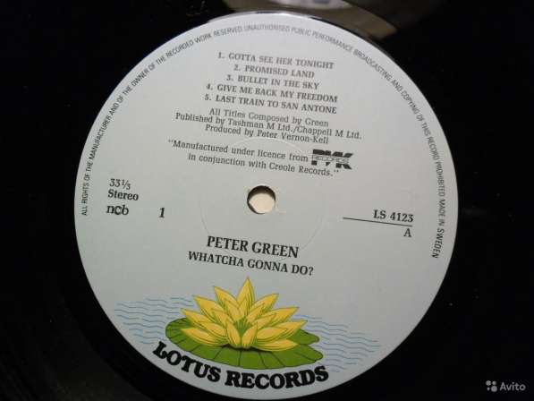 Peter Green - Whatcha Gonna Do в Санкт-Петербурге