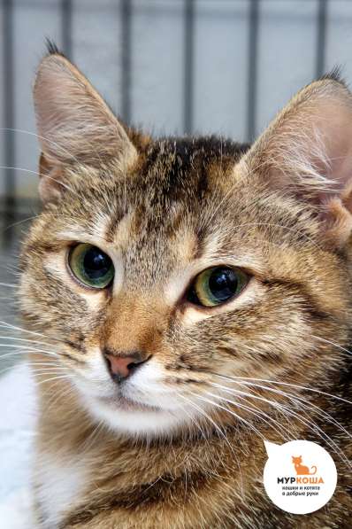 Именно Лотти заставит вас забыть об одиночестве в Москве