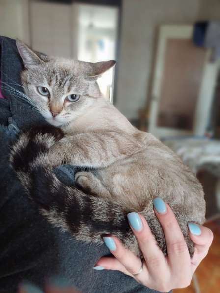 Неимоверная Адель в дар в фото 3