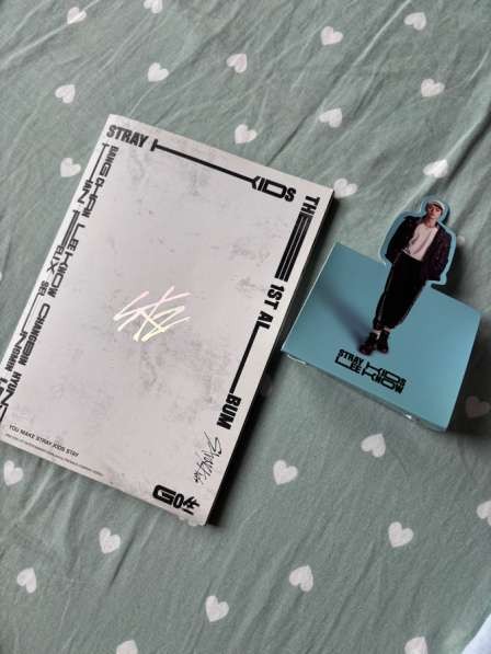 Фотобук Stray kids из альбома GO + фигурка с минхо