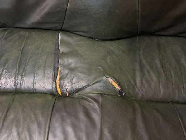 Кожаный диван и 2 кресла в Москве фото 3