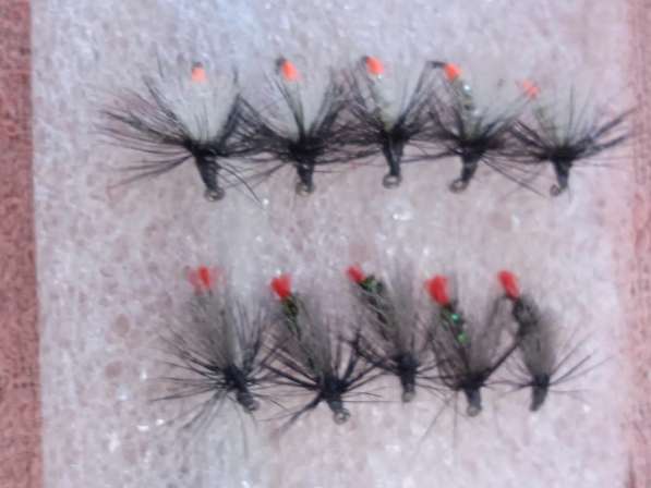 Мушки и нимфы в Ухте