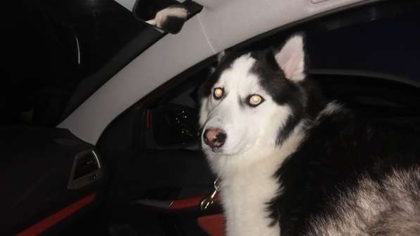 Евгений, 56 лет, хочет пообщаться в Нефтекамске