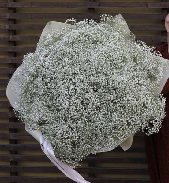 Букет роз 25, 51, 101 шт