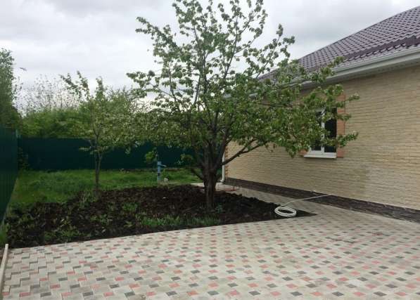 Отсели тещу ! в Краснодаре фото 5