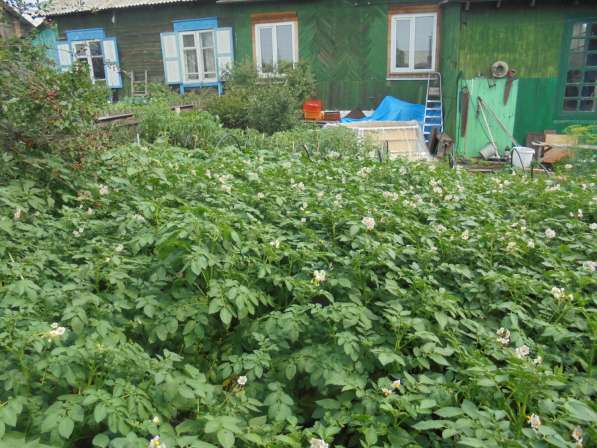 Дом 60кв, дерево, туалет, ванна, гараж кирпич, огород 4 сот в Красноярске фото 8