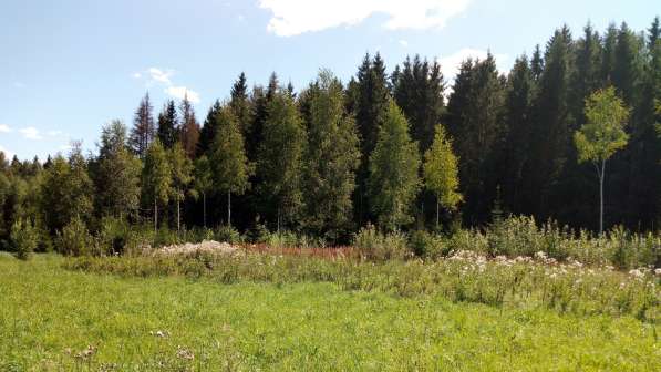 Участок 14 соток, ИЖС, коммуникации, лес, 8 км. от г. Смолен в Москве фото 11