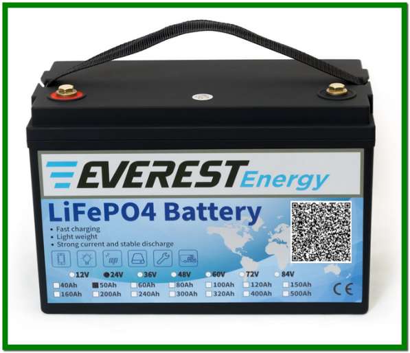 Everest Energy LFP-24V50А в Санкт-Петербурге фото 3