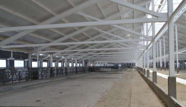 Аренда производственное помещение в Санкт-Петербурге фото 4