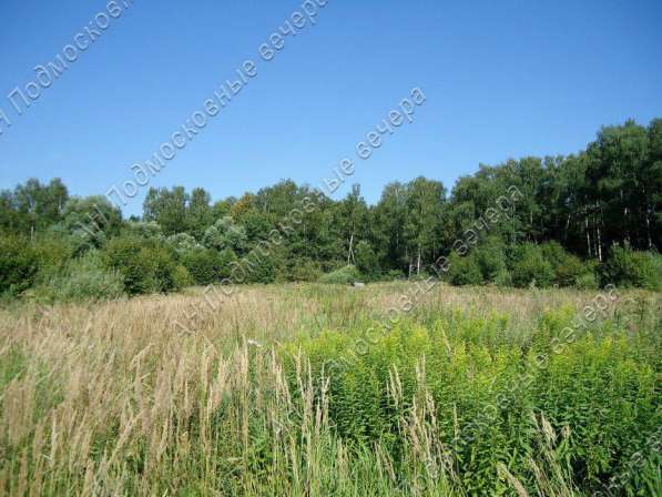 realty_mapper3.plot_in_locationИндивидуальное жилищное ст-во. Площадь 30.00 сот.Есть Электричество. в Москве фото 16