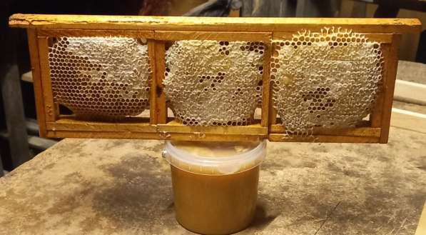 Алтайский мёд в Казани фото 3