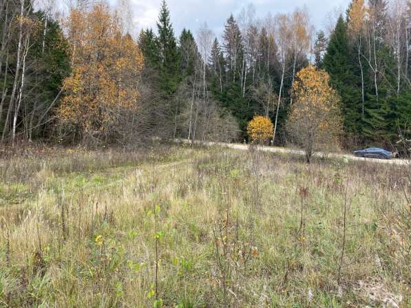 Участок в окружении леса, 15 кВт в Можайске фото 3