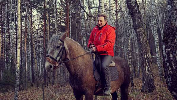 Конная прогулка в Красноярске фото 25