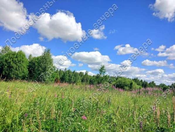 realty_mapper3.plot_in_locationСадовое некоммерческое тов-во. Площадь 12.00 сот.Есть Электричество. в Москве фото 8