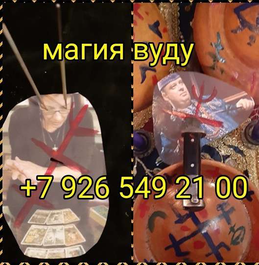 Книга в Сочи фото 5