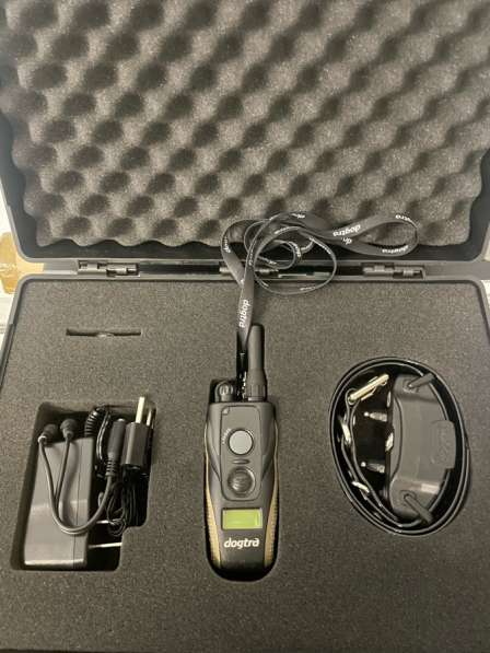 Электронный ошейник для собак в Москве фото 3