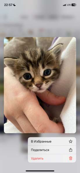 Отдам в добрые ручки в Краснодаре