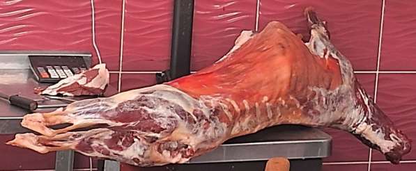Мясо баранина курдюк говядина лёгкое в Нижнем Новгороде фото 7