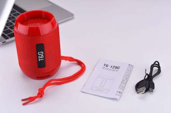 Мини колонка T&G TG-129C в Санкт-Петербурге фото 3