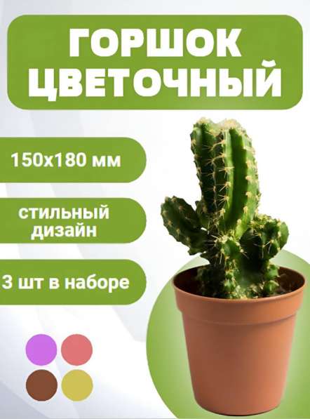 Инфографика на заказ