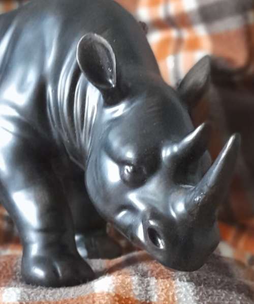 Офисный носорог в Москве