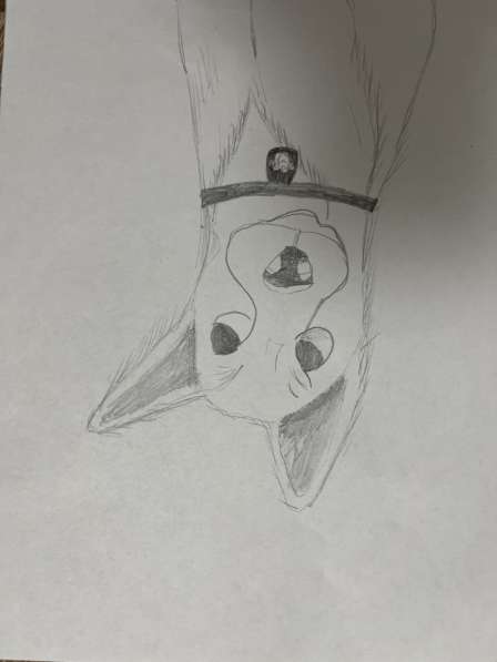 Рисунок ручной работы