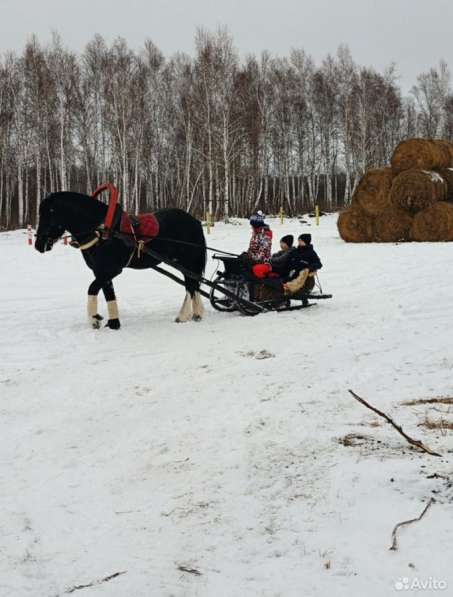 Продам участок, отличное расположение и красивая природа в Тюмени фото 4