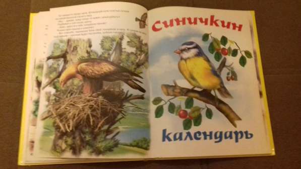 Сказки Бианки в Екатеринбурге фото 7