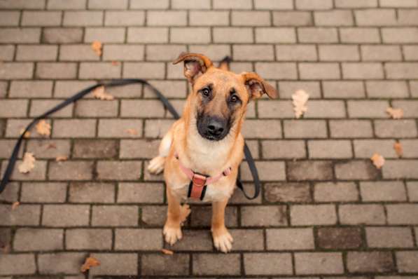 Чудесная Бриа ищет семью в Москве фото 22