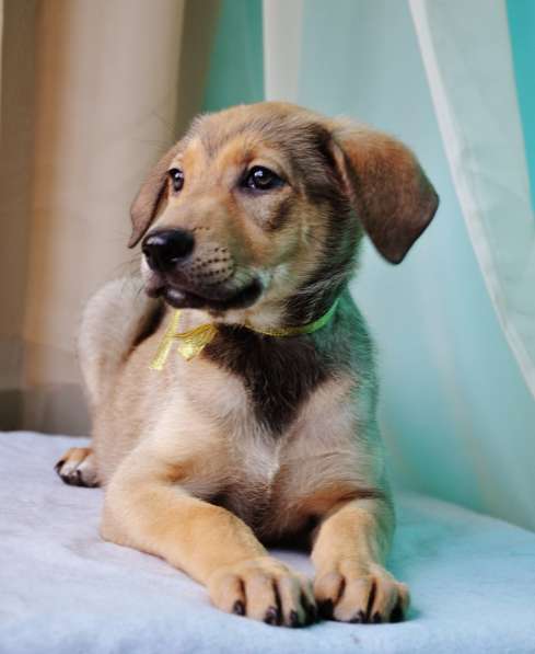 Великолепная Четверка в дар в Москве фото 47