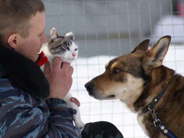 Жду тебя, мой Человек в Москве фото 3