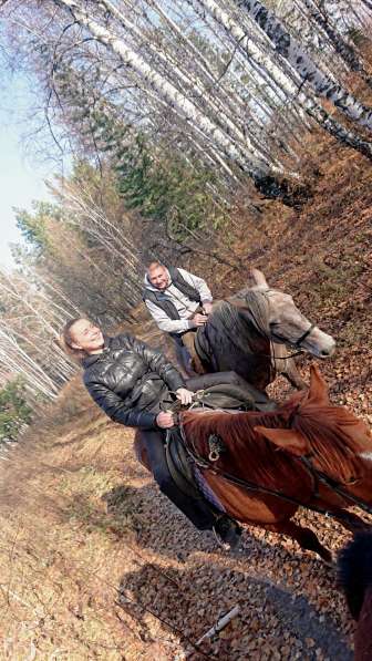 Конная прогулка в Красноярске фото 23