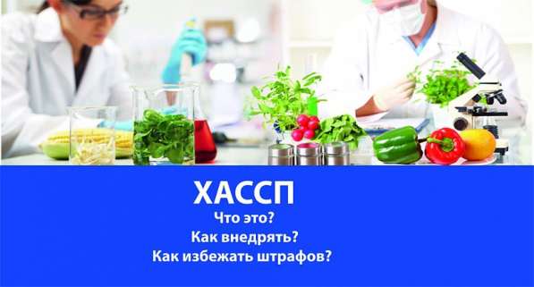 Внедрение сертификата ХАССП. Избежание от штрафов в Москве