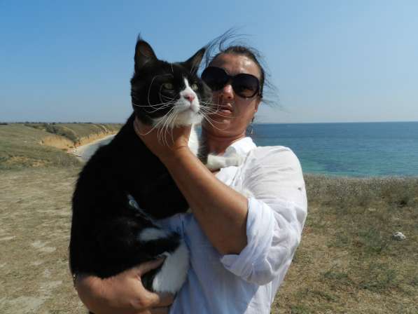 Вязка Мейн Кун в Лобне фото 10