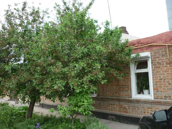 Продам дом в Михайловке (не дачи) на уч-ке 20 соток в Таганроге
