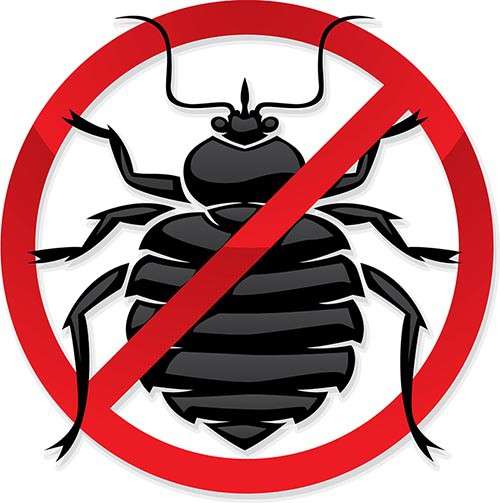 Уничтожение клопов, тараканов и других насекомых