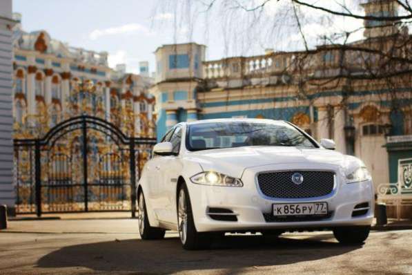 Аренда JAGUAR XJ на свадьбу в Санкт - Петербурге в Санкт-Петербурге фото 3