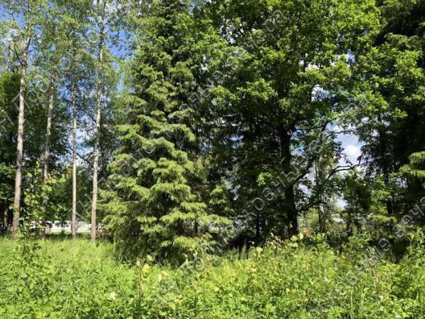 realty_mapper3.plot_in_locationИндивидуальное жилищное ст-во. Есть Газ, Водопровод.