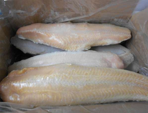 Рыбные филе судака, сазана и др. оптом с бесплатной доставка в фото 6